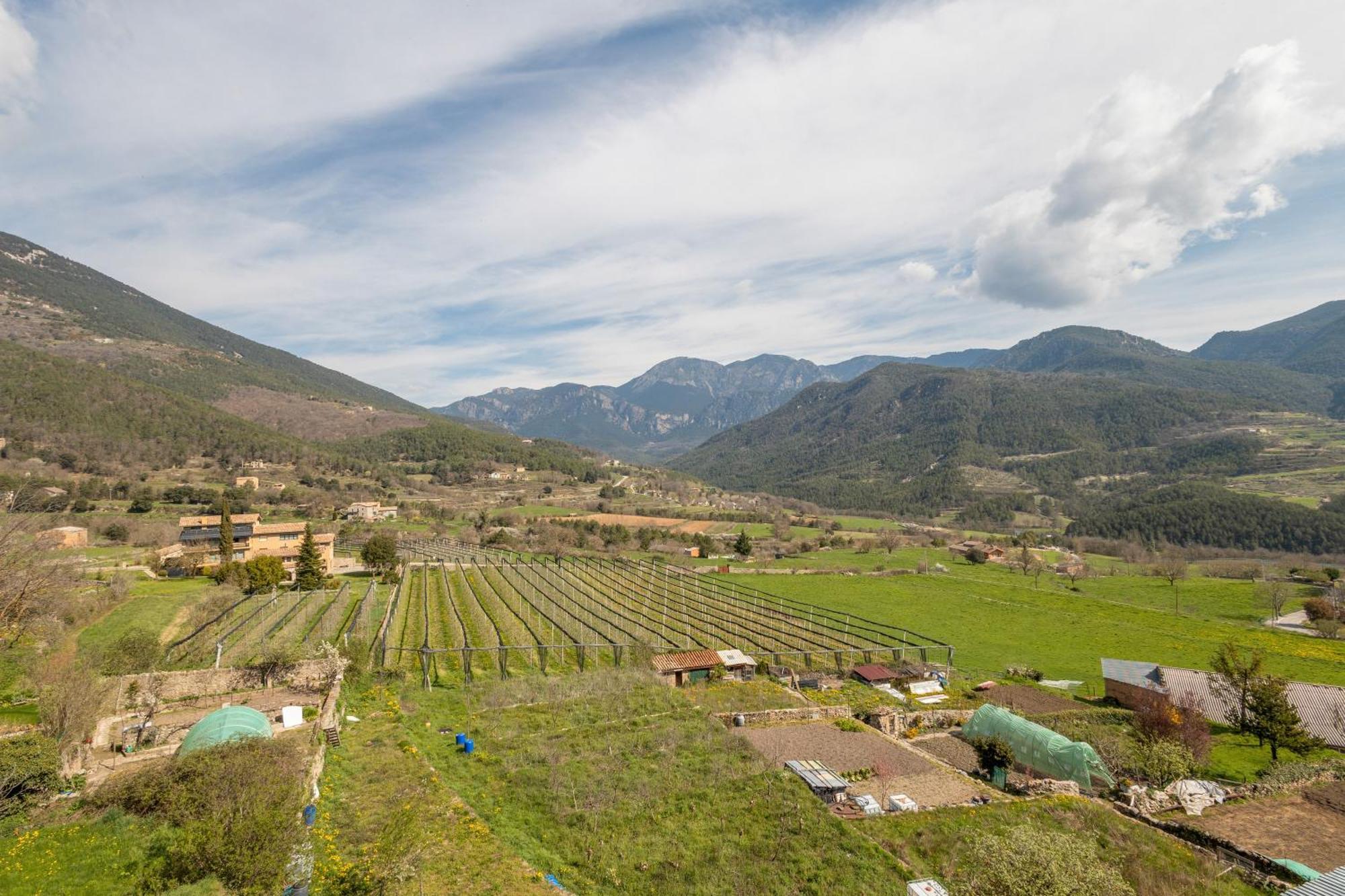 Apartamento Ca la Pagesa Sant Llorenç de Morunys Exterior foto